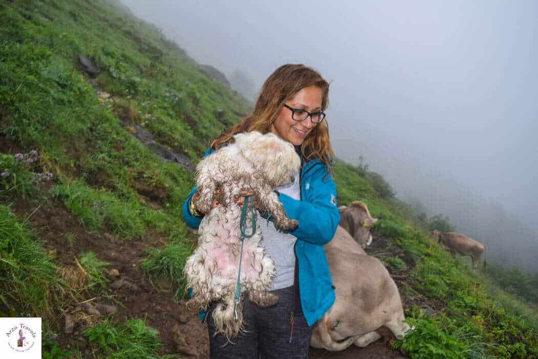 Arzo Travels Hiking in the fog on Ebenalp