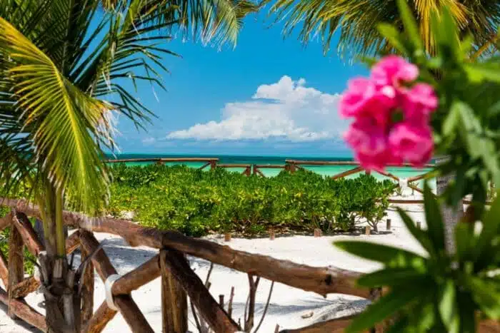 Wie kommt man von Isla Mujeres nach Holbox, Mexiko (4 beste Optionen)