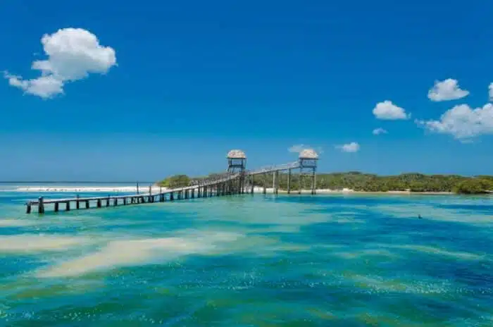 How to get from Cozumel to Holbox, Mexico